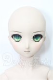 画像1: DD/セイバー Fate/EXTRA Ver. S-26-06-21-101-TO-ZS (1)