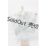画像: SDM&MSD/OF:衣装セット S-26-07-05-162-TO-ZS
