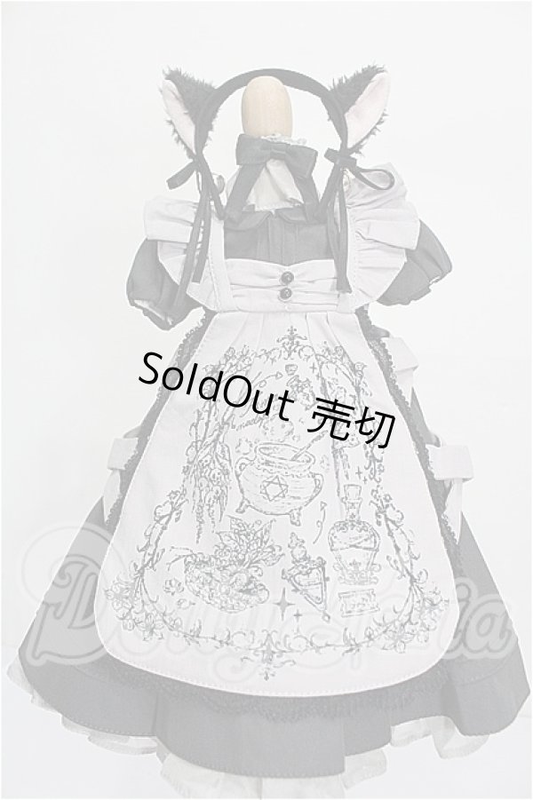 画像1: MDD/OF:衣装セット S-26-07-12-229-TO-ZS (1)