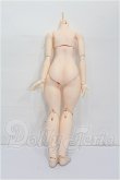 画像2: DOLLBOT/DBクラシックボディ S-26-06-28-152-TO-ZS (2)