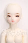画像1: BLUE FAIRY/TF:V・Jasmine(Jasmine vallentine) S-26-06-28-151-TO-ZS (1)