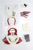 画像1: MDD/OF:衣装セット S-26-06-28-296-TO-ZS (1)