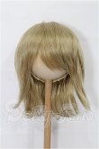 画像1: 8-9inch/ウィッグ S-26-07-19-342-YB-ZS (1)