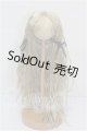 画像: 9-10inch/ウィッグ S-26-07-12-120-YB-ZS