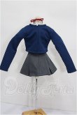 画像3: DD/OF:衣装セット S-26-07-05-320-TO-ZS (3)