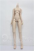 画像1: DD/ベースボディ(DD-f3) S-26-07-05-304-TO-ZS (1)