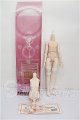画像: MDD/ベースボディ　男の子　(DD-f3) S-26-07-12-102-YB-ZS