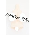 画像: MDD/上胴・下胴パーツ S-26-07-12-113-YB-ZS