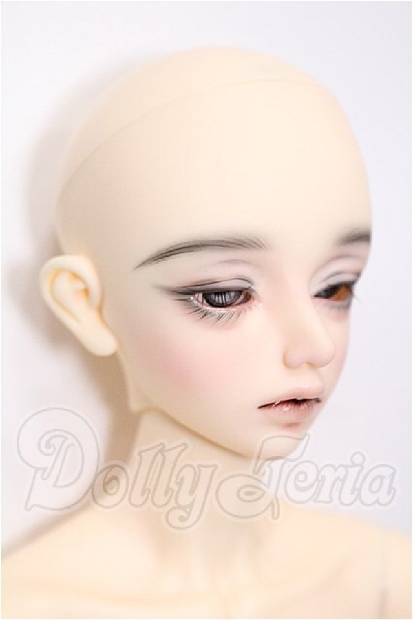 画像3: FOVEO/Debussy.S S-26-07-12-103-TO-ZS (3)
