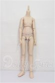 画像1: MDD/ベースボディIII S-26-07-12-204-TO-ZS (1)