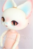画像2: DEARMINE/PICASSO bean キョンキョンにゃんしー! S-26-07-19-105-TO-ZS (2)