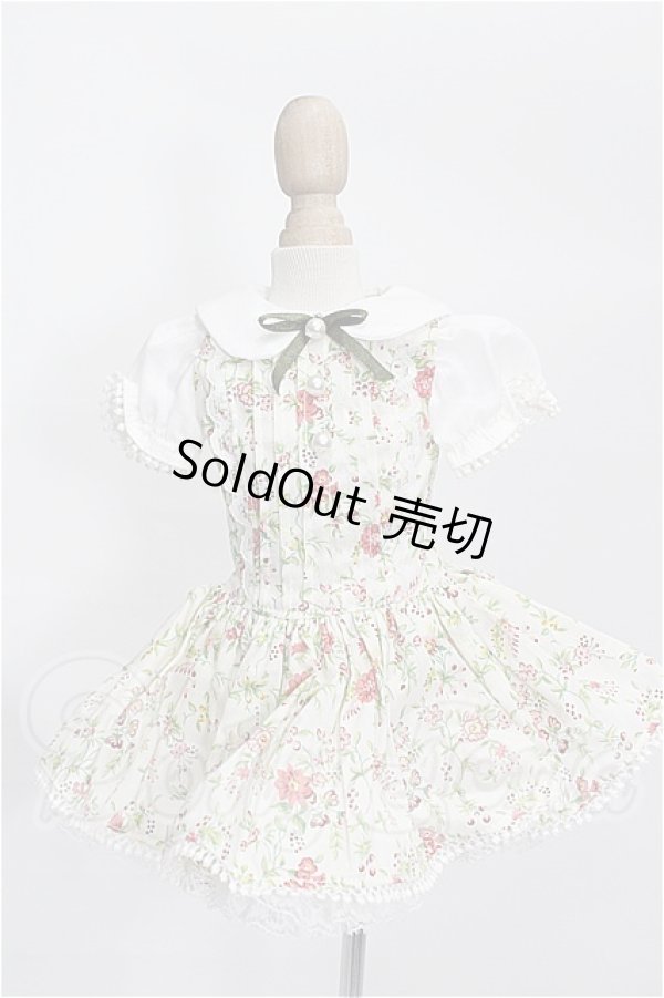 画像1: SDM＆MSD/OF:ワンピース S-26-07-26-148-TO-ZS (1)