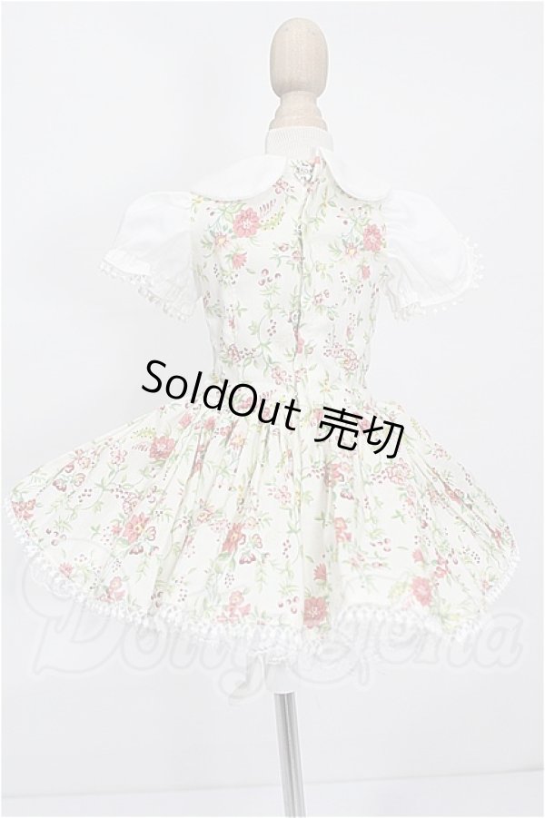 画像3: SDM＆MSD/OF:ワンピース S-26-07-26-148-TO-ZS (3)