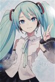 画像1: DD/初音ミク NT S-26-08-02-101-TO-ZS (1)