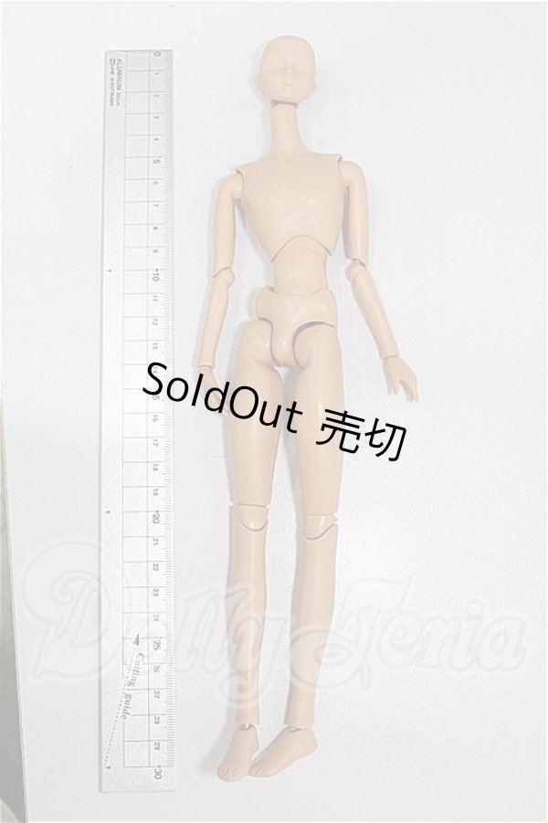 画像2: ボークス/1/6ボディ（ニューエクセレントベースモデル） S-26-07-26-203-TO-ZS (2)