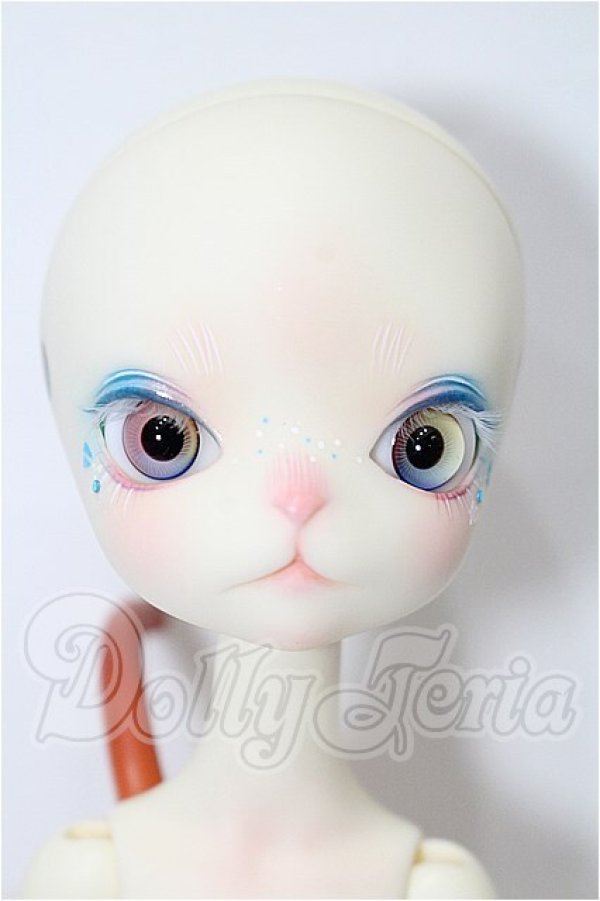 画像1: DOLL ZONE/Miss Kitty S-26-08-09-103-YB-ZS (1)