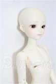 画像3: elfinstore/ノアS S-26-08-02-253-YB-ZS (3)
