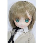 画像: MDDベースボディ/DDH-22カスタムヘッド S-26-08-09-201-YB-ZS