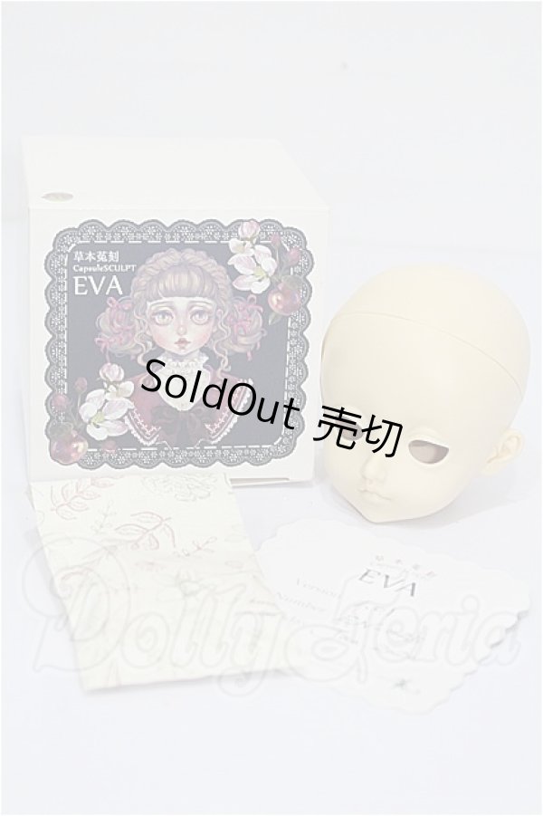 画像5: CAPSULE　SCULPT/EVA S-26-08-02-258-YB-ZS (5)