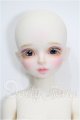 画像: myoudoll/1/4snow delia S-26-08-02-151-TO-ZS