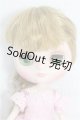 画像: ミディブライス/ランピオンオブザバレー S-26-08-02-165-TO-ZS