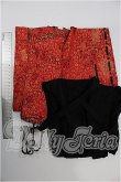 画像2: 70ｃｍ/ＯＦ：衣装セット S-26-08-16-120-YB-ZS (2)