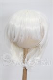 画像1: 8-9inch/ウィッグ S-26-08-30-348-TO-ZS (1)