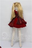 画像5: azone/サアラ60 Garnet Princess〜Happy Birthday Dear SAHRA〜 S-26-08-09-208-TO-ZS (5)