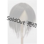 画像: 8-9inch/ウィッグ S-26-08-16-242-YB-ZS