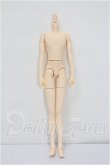 画像1: azone/ピュアニーモフレクションLタイプ・男の子ボディ S-26-08-16-212-TO-ZS (1)