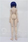 画像7: DD/シエル　月姫 -A piece of blue glass moon- S-26-08-16-102-TO-ZS (7)