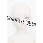 画像: DD/DC-H-14:ドリームチョイス S-26-08-16-104-TO-ZS