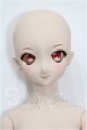 画像: DD/DC-H-14：ドリームチョイス S-26-08-16-104-TO-ZS