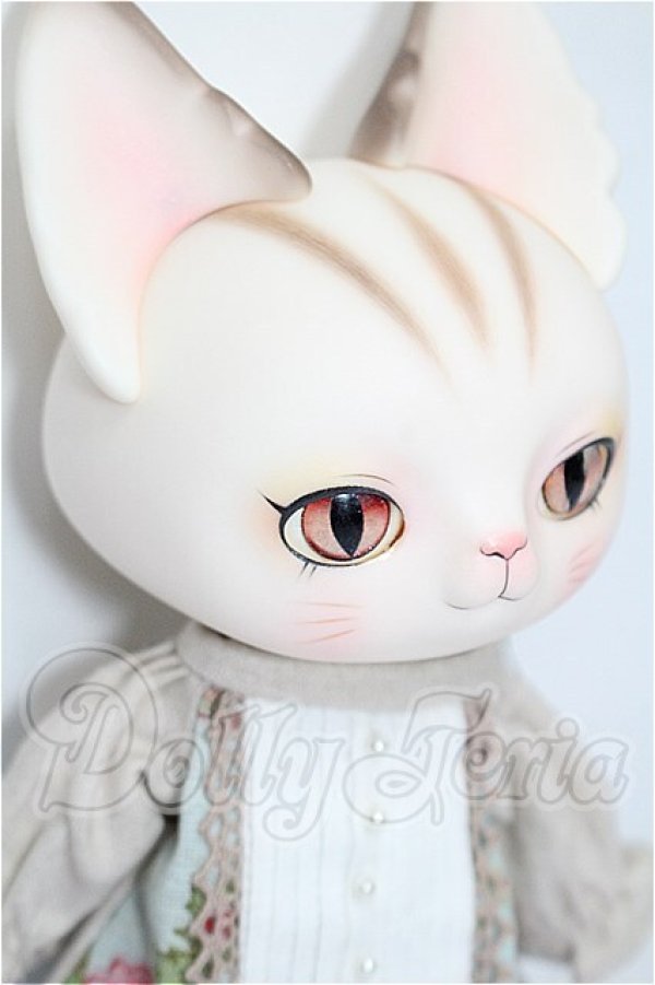画像3: DEARMINE/Picasso Bean Rose　Skin+衣装 S-26-08-16-254-TO-ZS (3)