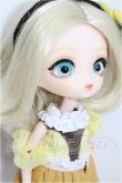 画像3: ハルモニアブルーム　Harmonia bloom/パンジー S-26-08-16-307-TO-ZS (3)