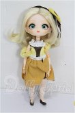 画像4: ハルモニアブルーム　Harmonia bloom/パンジー S-26-08-16-307-TO-ZS (4)