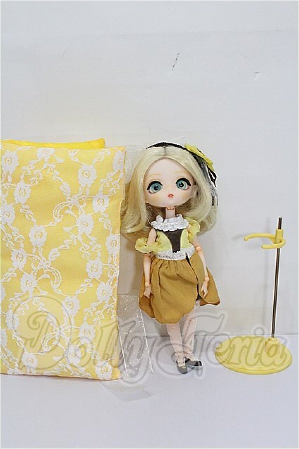 画像6: ハルモニアブルーム　Harmonia bloom/パンジー S-26-08-16-307-TO-ZS (6)