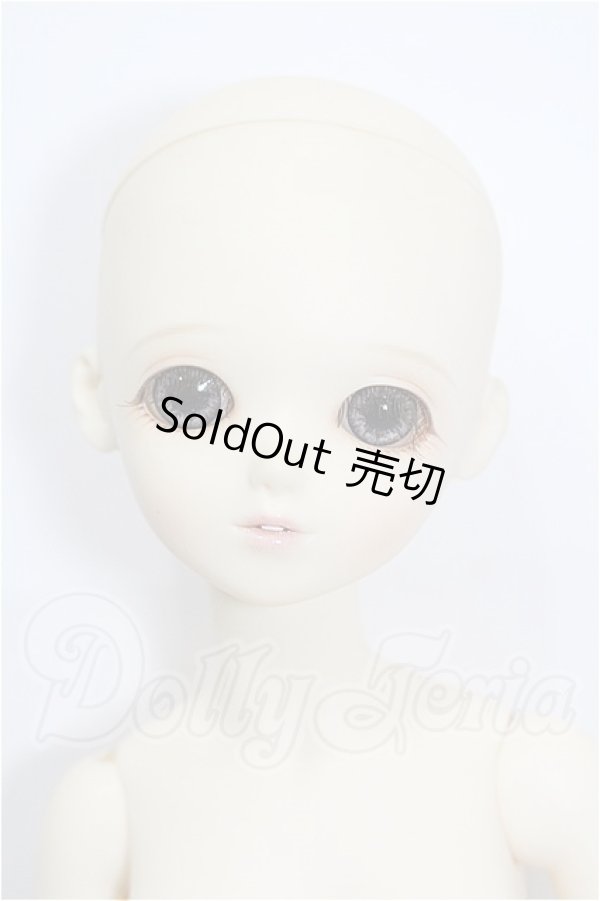 画像1: BlueFairy/TF:Sarang？ S-26-08-16-301-TO-ZS (1)
