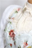 画像4: SD/OF:衣装セット S-26-08-23-119-TO-ZS (4)