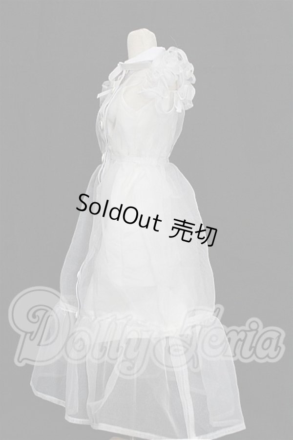画像2: DD/OF:ワンピース S-26-08-23-328-YB-ZS (2)