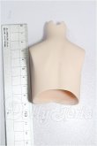 画像2: MDD2.0/上半身パーツ　Ｓ胸 S-26-08-23-317-TO-ZS (2)