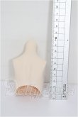 画像2: MDD/上半身パーツ S-26-08-30-116-TO-ZS (2)