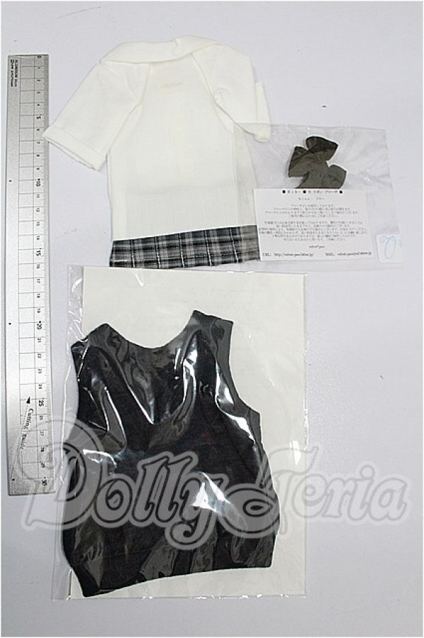 画像2: MDD/OF:衣装セット S-26-08-30-226-TO-ZS (2)