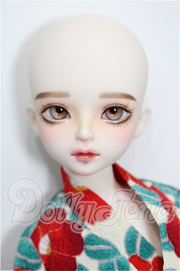 画像2: Myou Doll/Delia 文学少女 Literature Limited S-26-08-23-303-TO-ZS (2)
