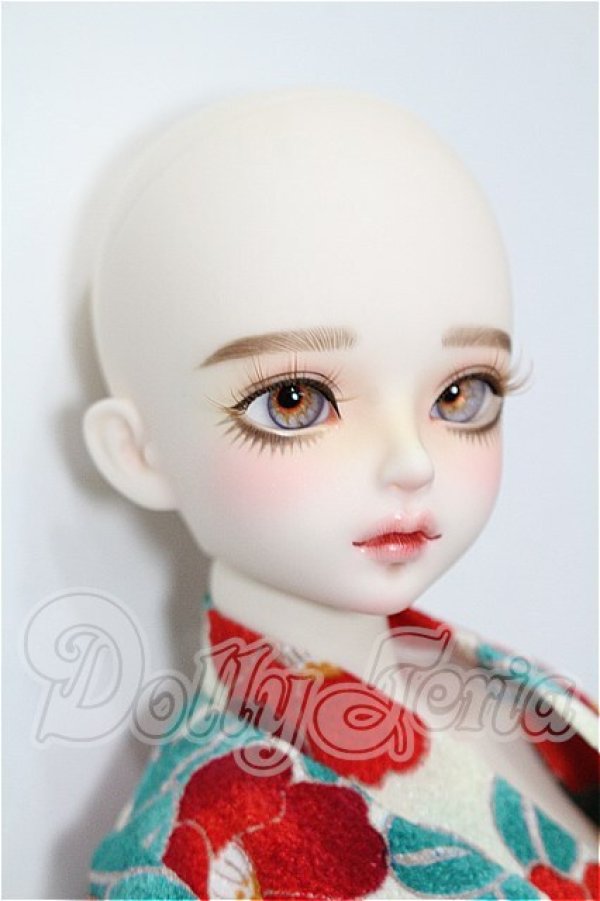 画像4: Myou Doll/Delia 文学少女 Literature Limited S-26-08-23-303-TO-ZS (4)