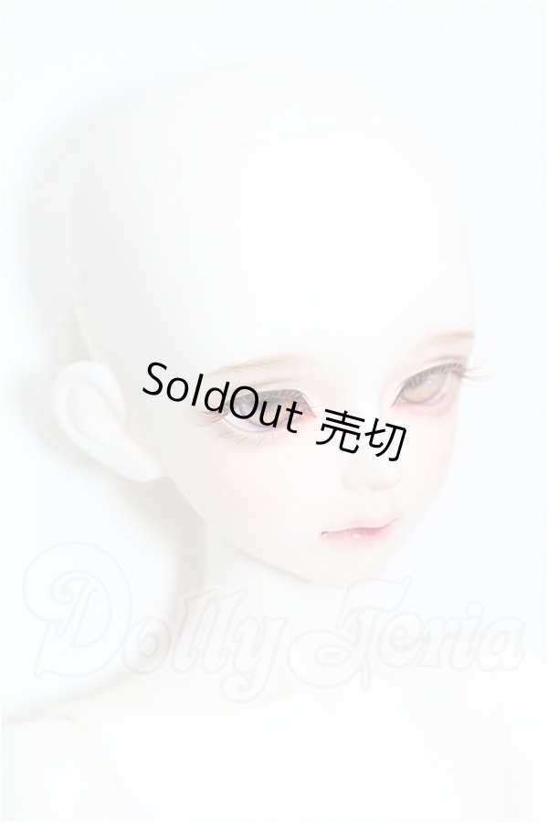 画像4: LUTS/KDF KAI R. limited Muse Body S-26-09-06-155-TO-ZS (4)