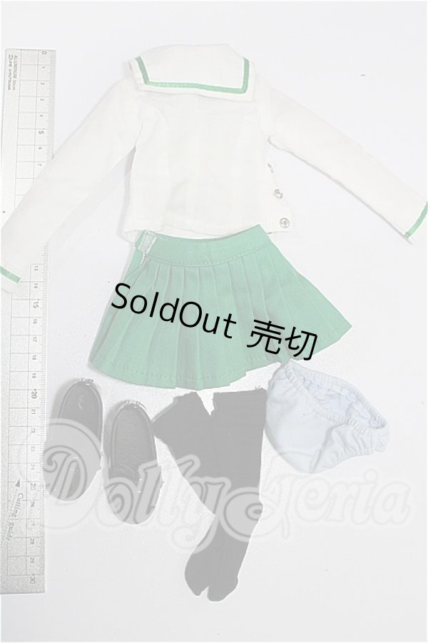 画像2: MDD/OF:衣装セット S-26-08-30-234-TO-ZS (2)