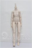 画像1: MDD/ベースボディ(DD-f3)セミホワイト S-26-08-30-201-TO-ZS (1)