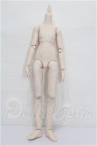 画像1: MDD/ベースボディ(DD-f3)セミホワイト S-26-08-30-203-TO-ZS (1)
