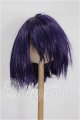 画像: 8-9inch/ウィッグ S-26-09-20-162-TO-ZS